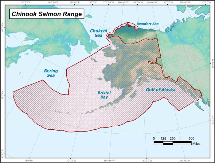 Range map of Chinook Salmon in Alaska