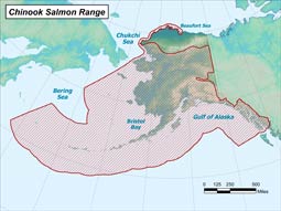 Chinook Salmon range map