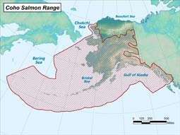 Coho Salmon range map