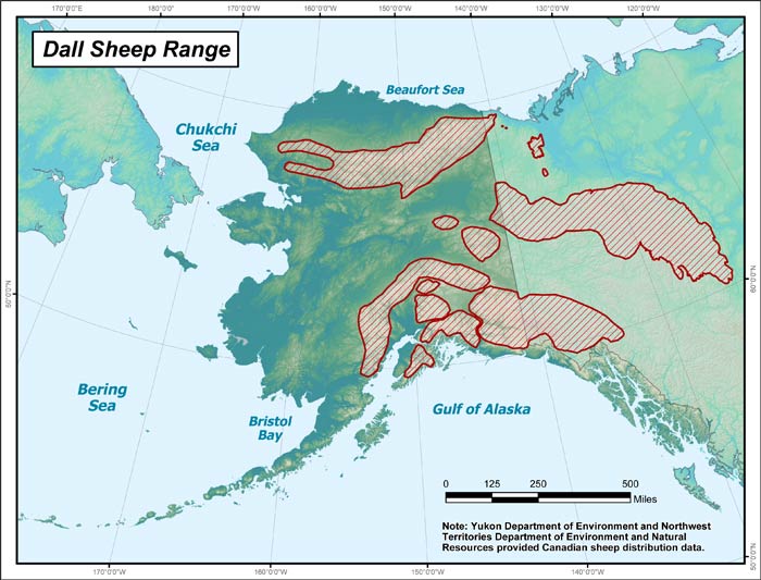 Range map of Dall Sheep in Alaska