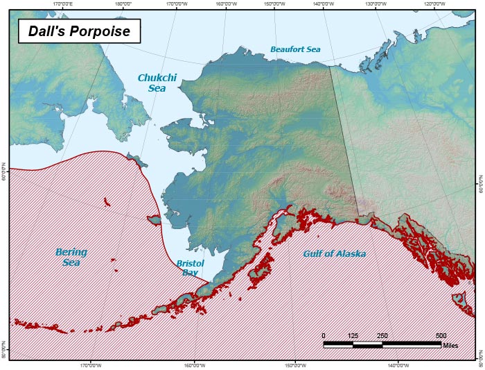 Range map of Dall's Porpoise in Alaska