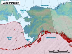 Dall's Porpoise range map