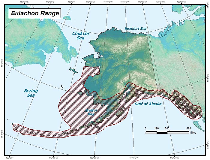 Range map of Eulachon in Alaska