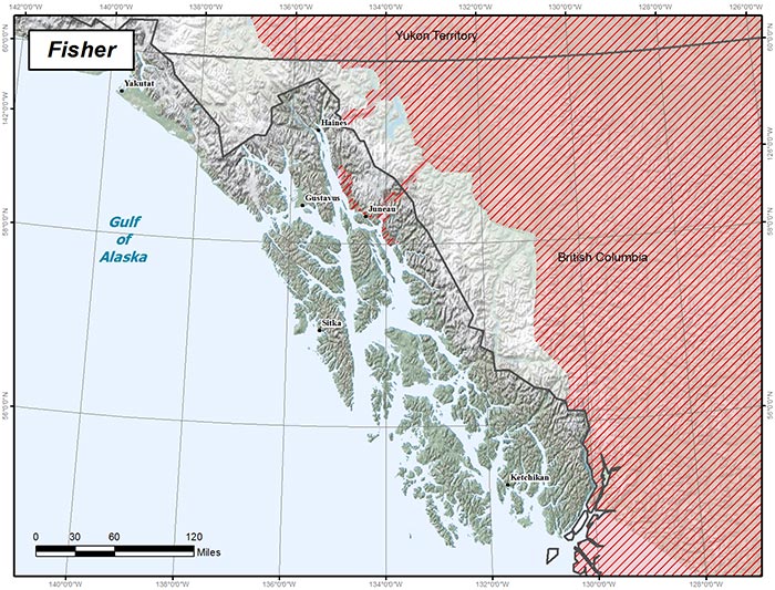 Range map of Fisher in Alaska