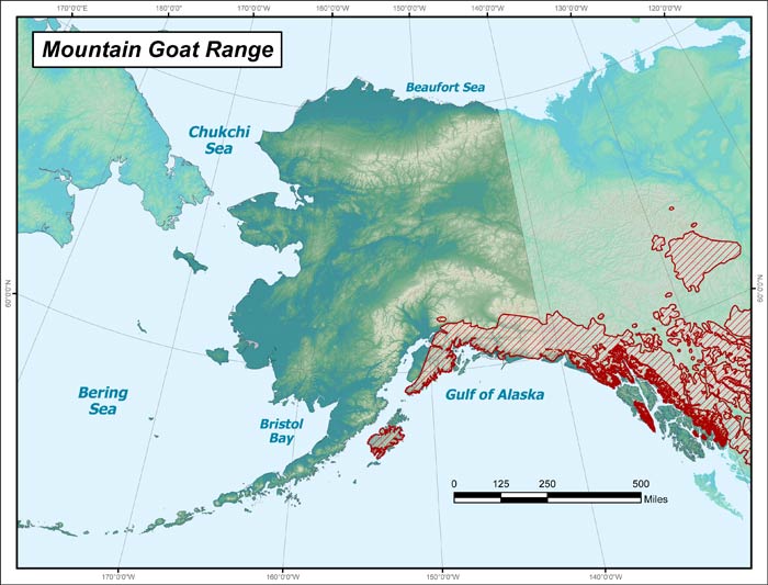 Range map of Mountain Goat in Alaska