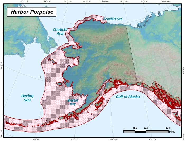 Range map of Harbor Porpoise in Alaska