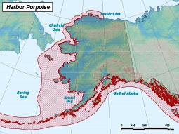 Harbor Porpoise range map