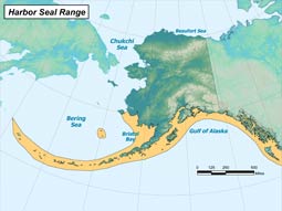 Harbor Seal range map