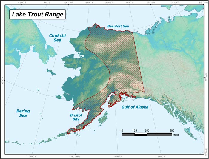 Range map of Lake Trout in Alaska