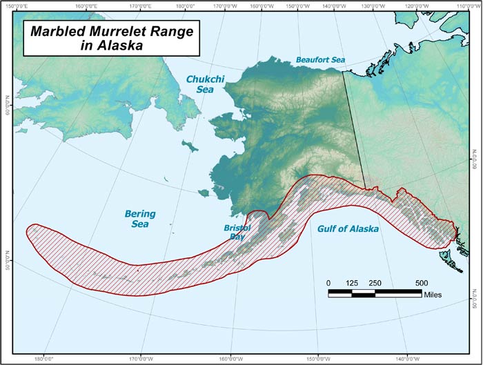 Range map of Marbled Murrelet in Alaska