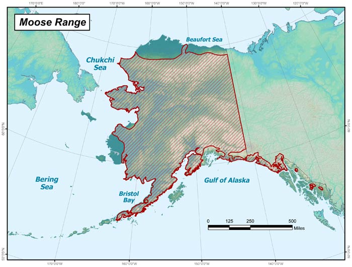 Range map of Moose in Alaska