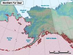 Northern Fur Seal range map