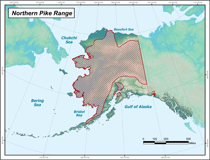 Range map of Northern Pike in Alaska