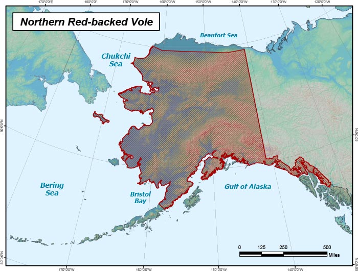 Northern Redbacked Vole Range Map, Alaska Department of Fish and Game