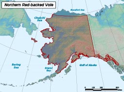 Northern Red-backed Vole range map