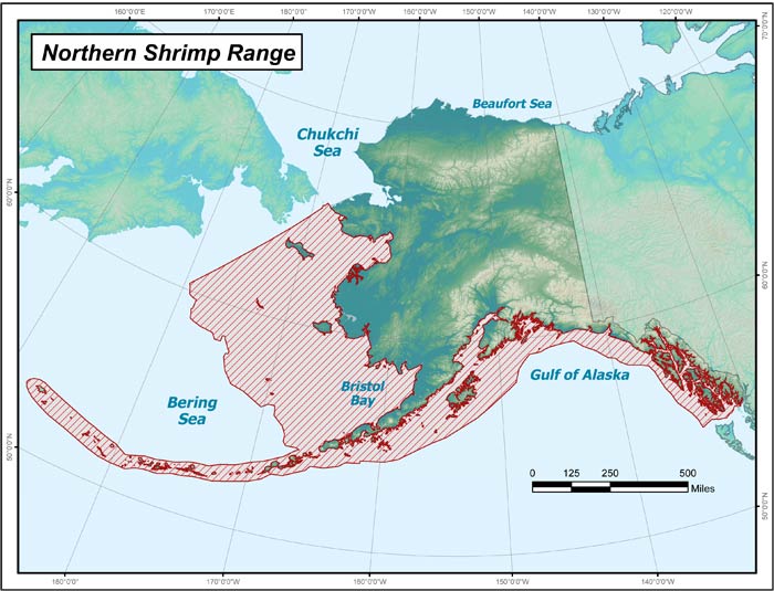 Range map of Northern Shrimp in Alaska