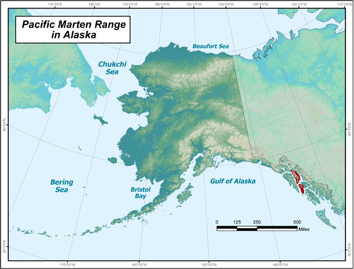 Range map of Pacific Marten in Alaska