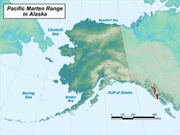 Pacific Marten range map