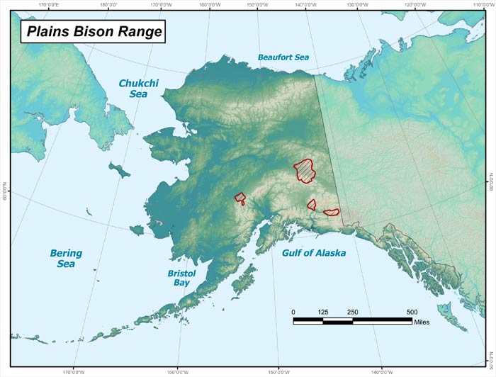 plains bison range map