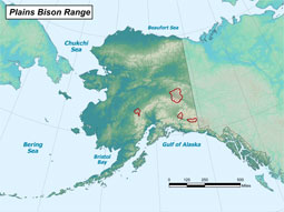 Plains Bison range map