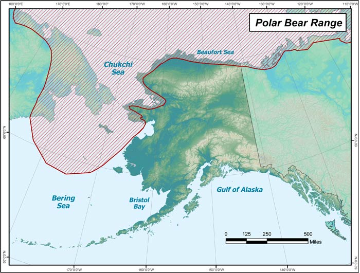 Polarbear Largemap 
