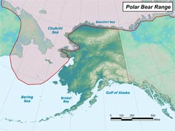 Polar Bear range map
