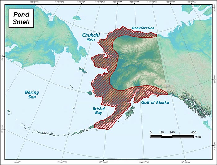 Range map of Pond Smelt in Alaska