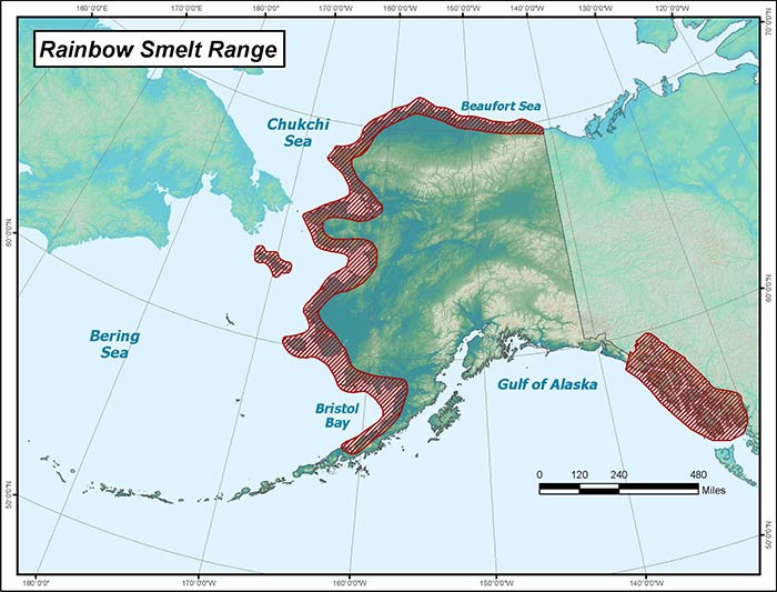 Range map of Rainbow Smelt in Alaska
