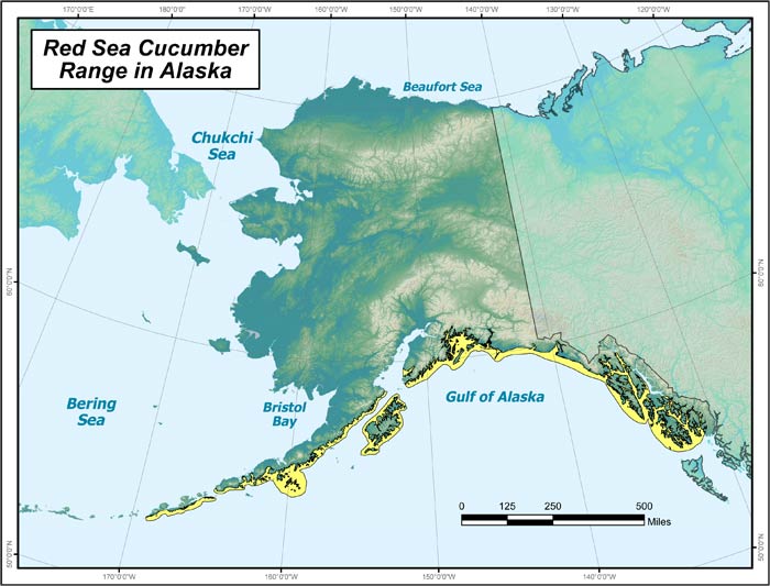 Range map of Red Sea Cucumber in Alaska