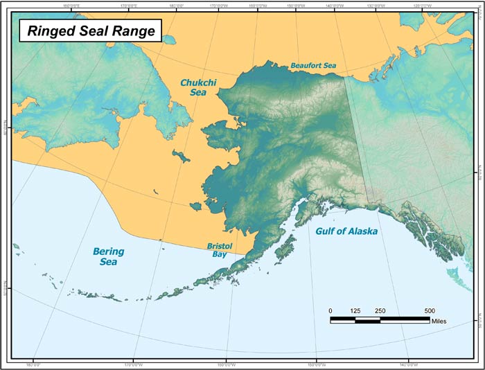 Range map of Ringed Seal in Alaska
