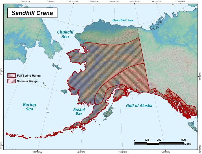 Range map of Sandhill Crane in Alaska
