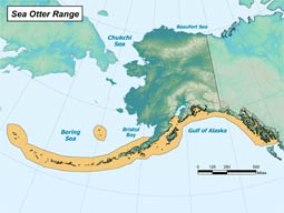 Northern Sea Otter range map
