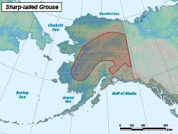 Sharp-tailed Grouse range map