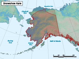Snowshoe Hare range map