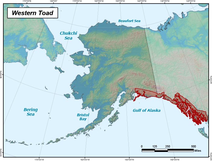 Range map of Western Toad in Alaska