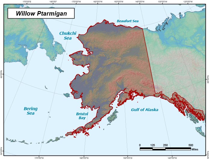 Range map of Willow Ptarmigan in Alaska