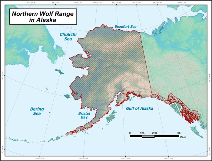 wolf range map