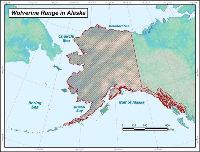 wolverine range map