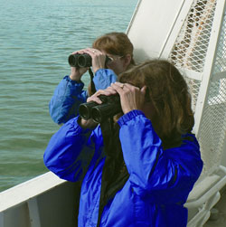 Two people on ferry looking through their binoculars
