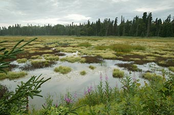 Skilak Lake on Kenai Peninsula